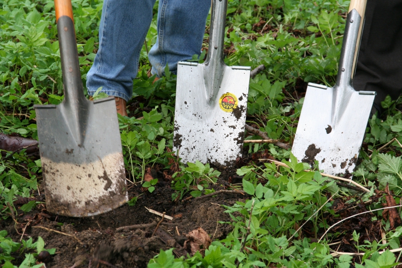 pepiniere-POURRIERES-min_work-lawn-flower-tool-green-backyard-1103633-pxhere.com